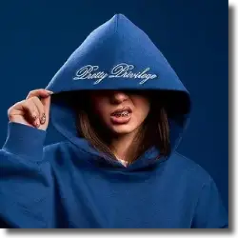 ZAH1DE - Pretty Privilege