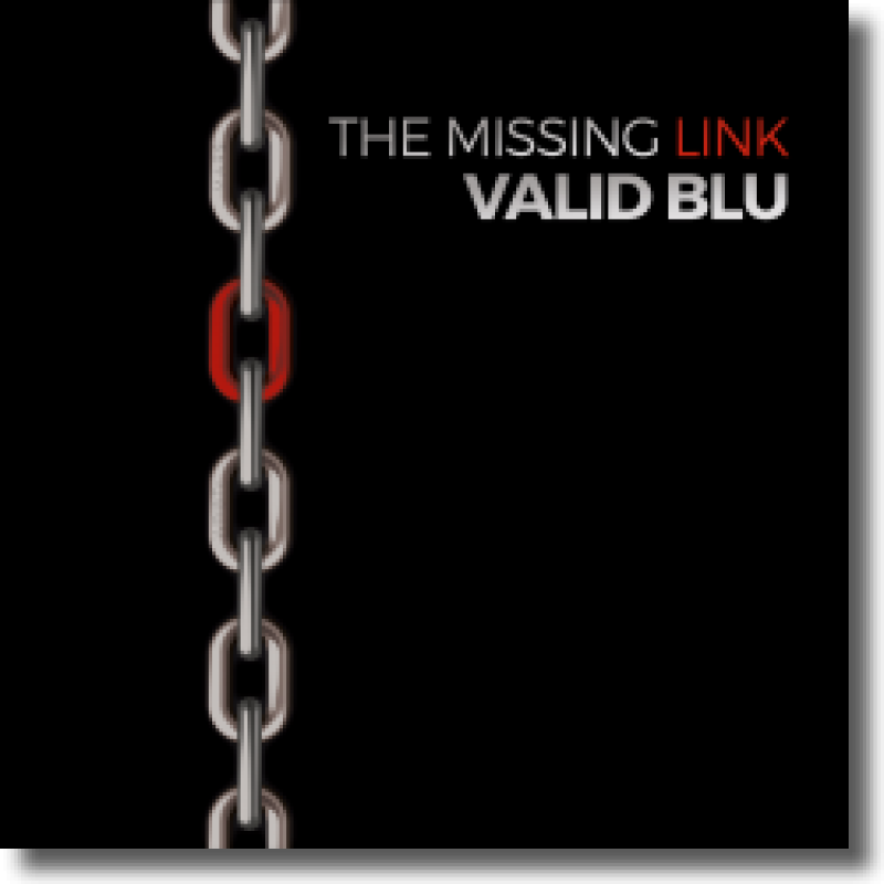 VALID BLU - The Missing Link