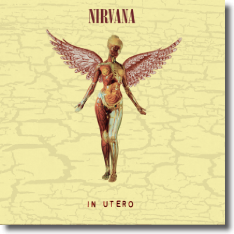 Nirvana - In Utero - 30th Anniversary