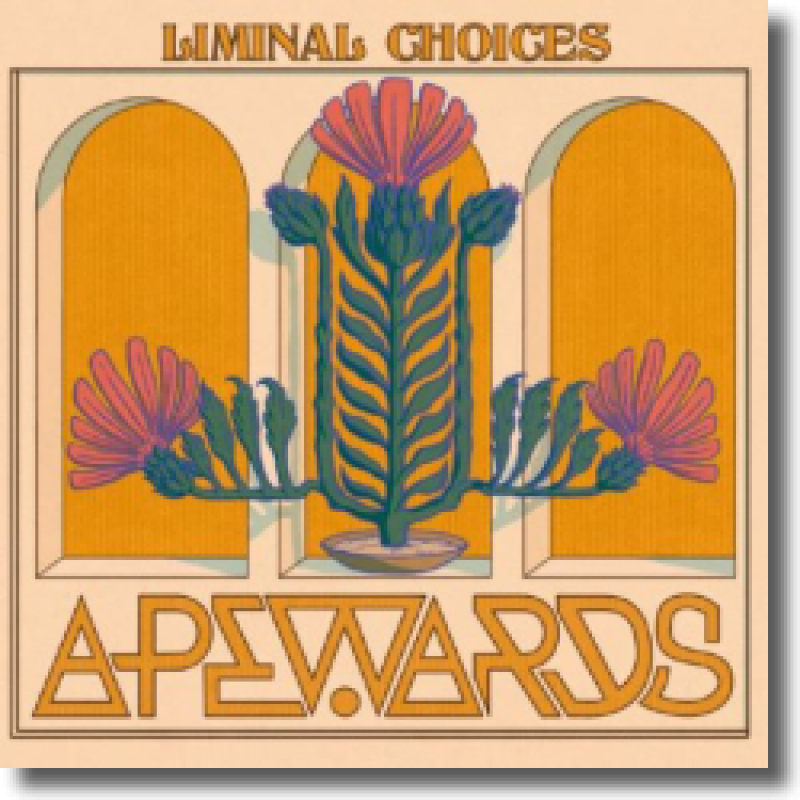 Apewards - Liminal Choices