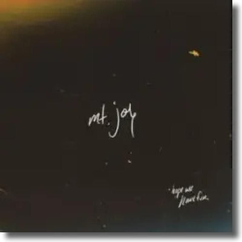 Mt. Joy - Hope We Have Fun