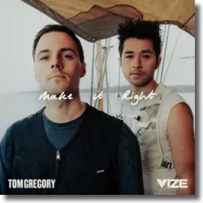 Tom Gregory & VIZE - Make It Right