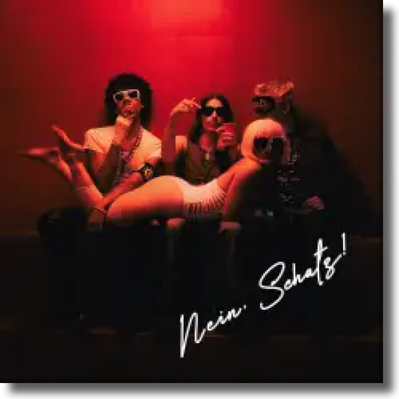 Ski Aggu, Miss Bashful & GDA - NEIN SCHATZ