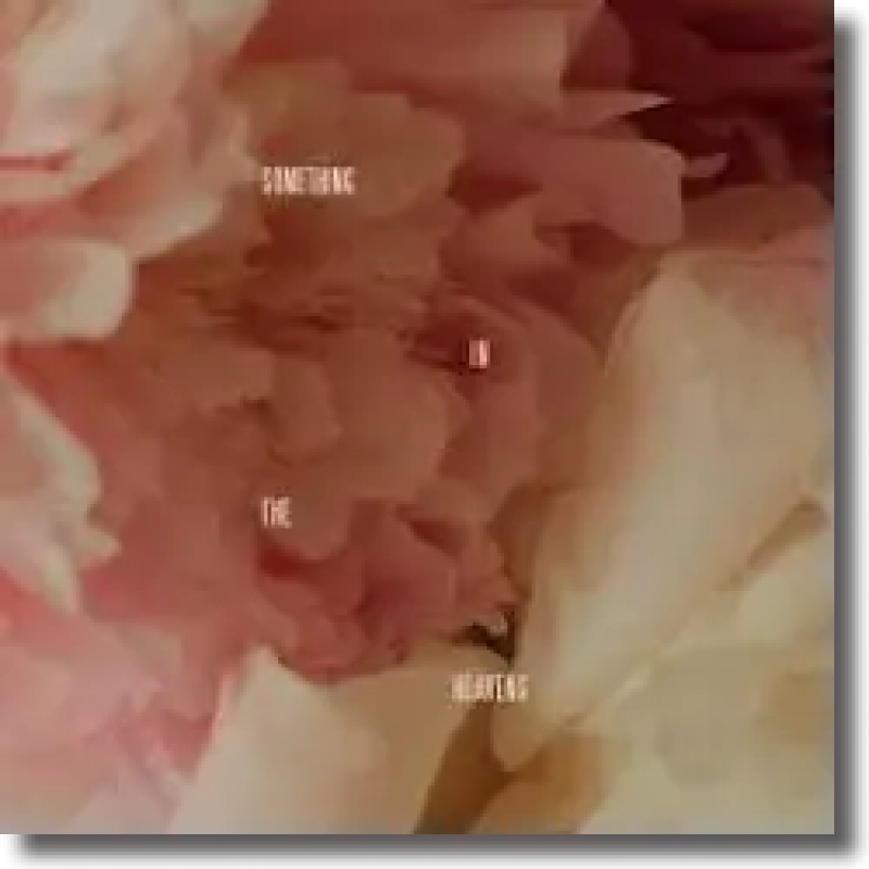 Lewis Capaldi - Something In The Heavens