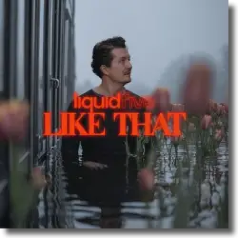 liquidfive - Like That