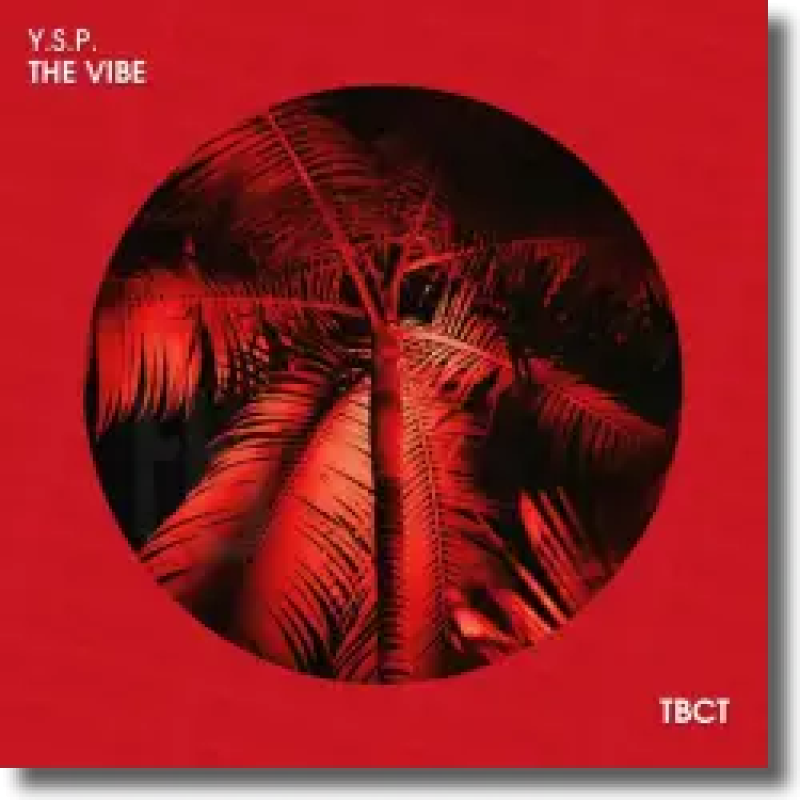 Y.S.P. - The Vibe