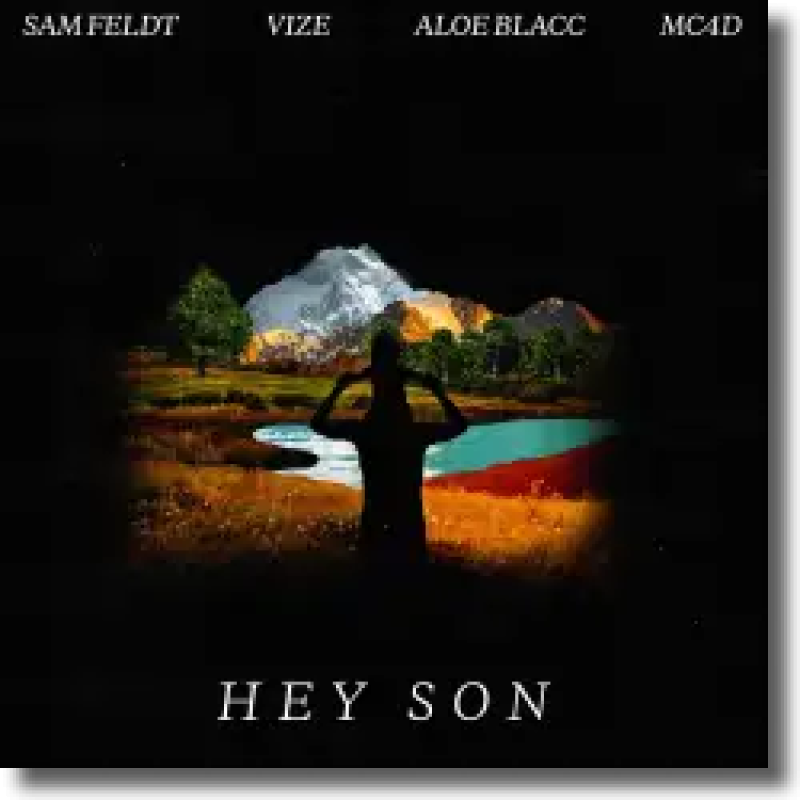 Sam Feldt, VIZE, MC4D & Aloe Blacc - Hey Son