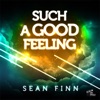 Sean Finn - Such a Good Feeling Jaques Raupe Remix Edit